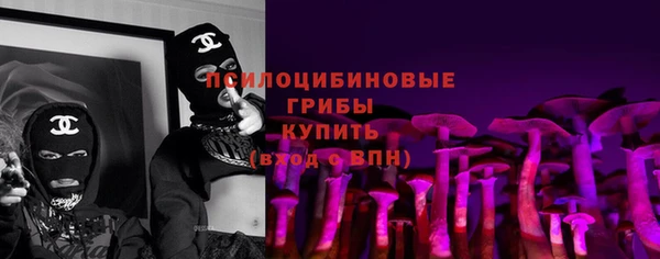spice Арсеньев