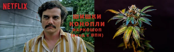 винт Баксан