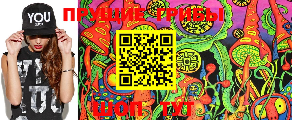 Псилоцибиновые грибы Magic Shrooms  Вход с VPN  Галлюциногенные грибы GOLDEN TEACHER  Соль-Илецк 